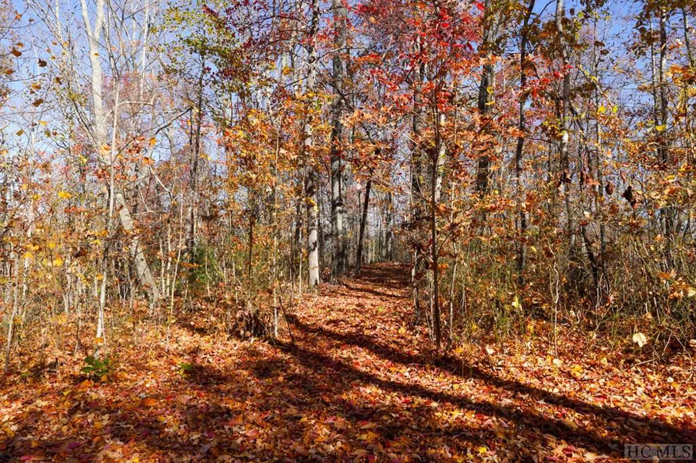 na High Point View Road Scaly Mountain, NC 28775