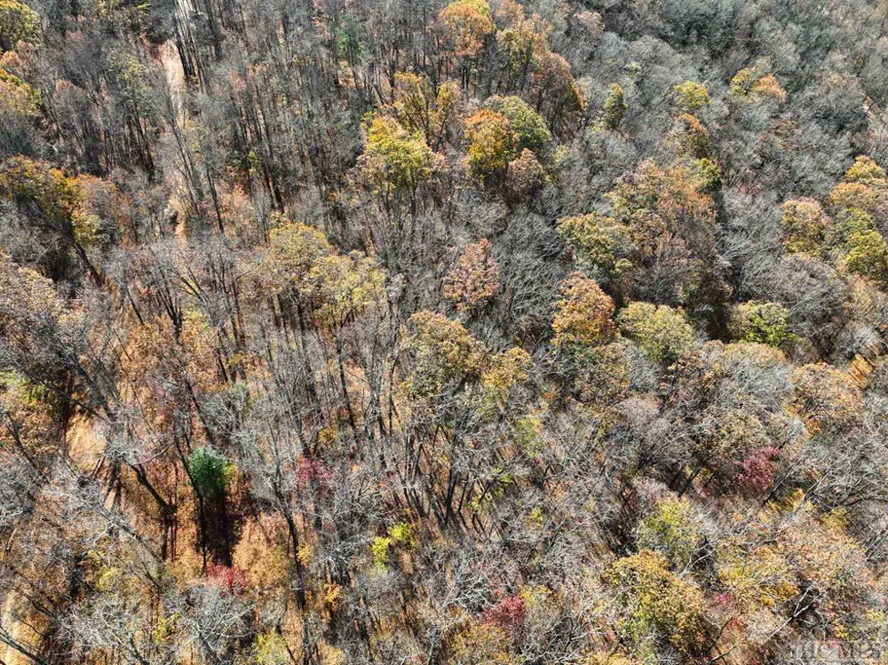 na High Point View Road Scaly Mountain, NC 28775