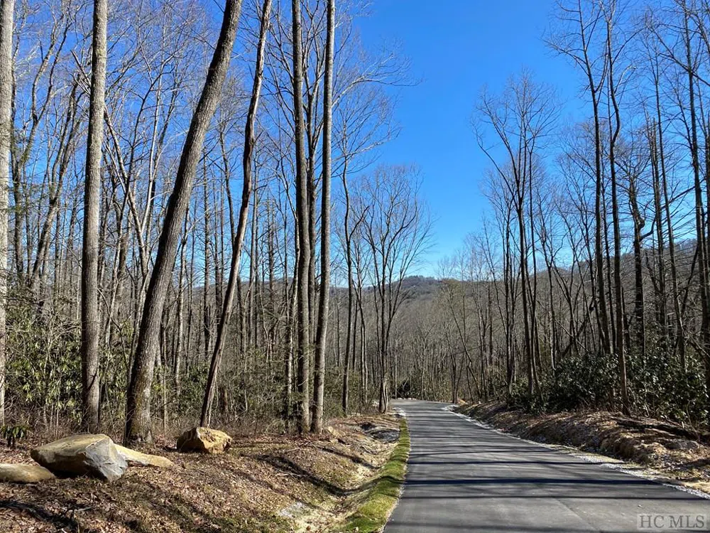 Lot 7 GlenCove Drive Cashiers, NC 28717