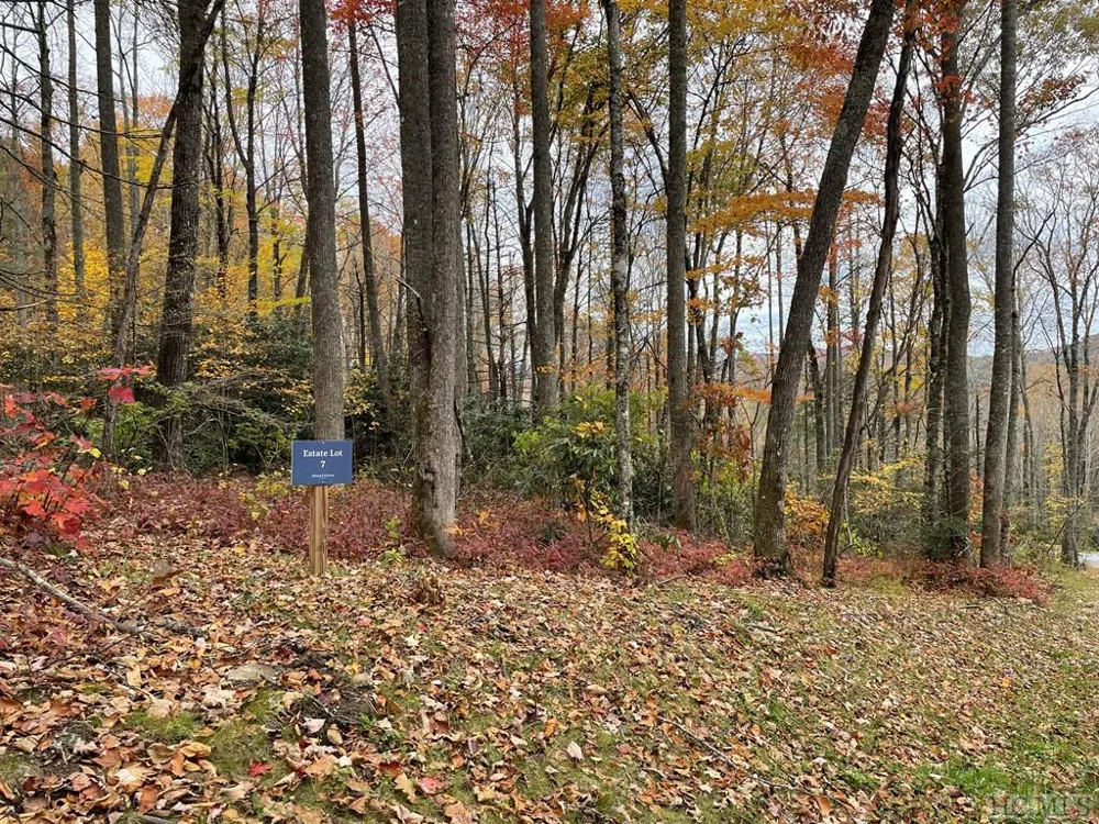 Lot 7 GlenCove Drive Cashiers, NC 28717