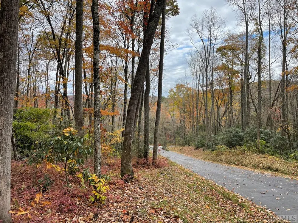 Lot 7 GlenCove Drive Cashiers, NC 28717