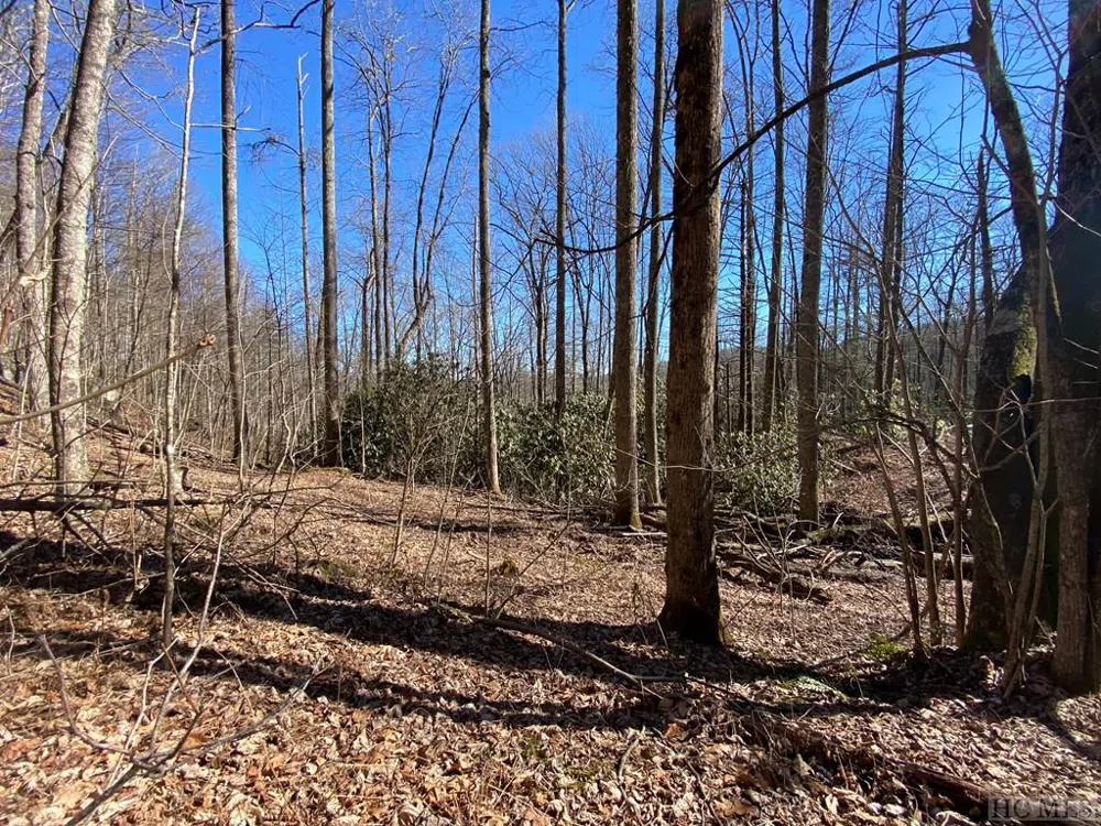 Lot 7 GlenCove Drive Cashiers, NC 28717