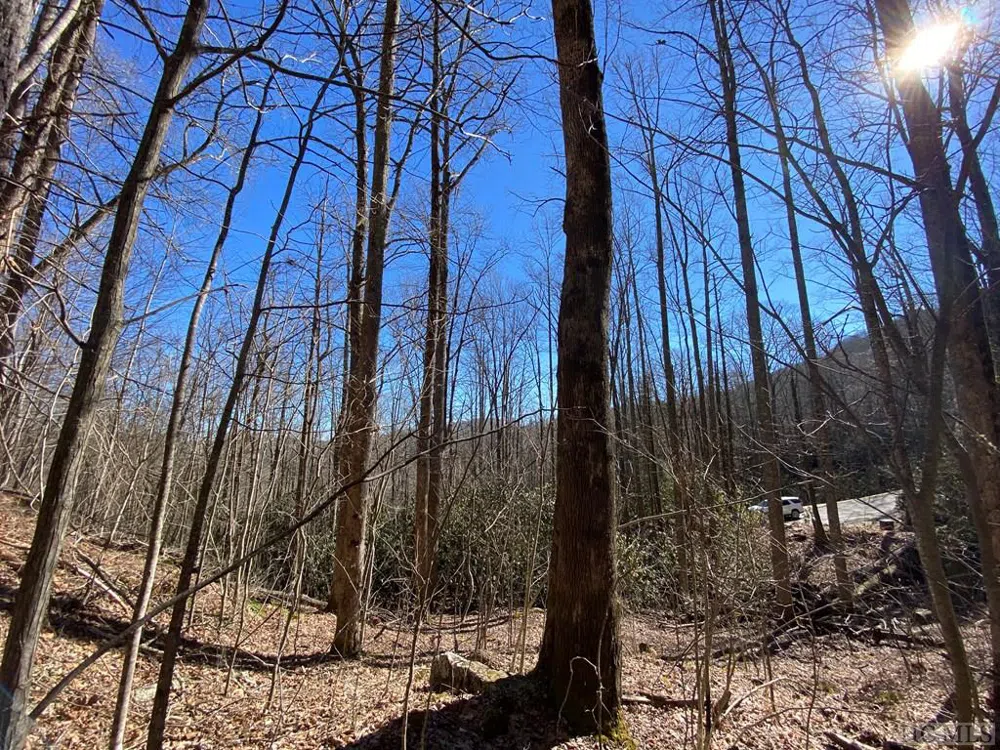 Lot 7 GlenCove Drive Cashiers, NC 28717