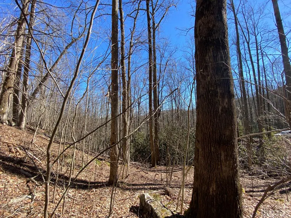Lot 7 GlenCove Drive Cashiers, NC 28717