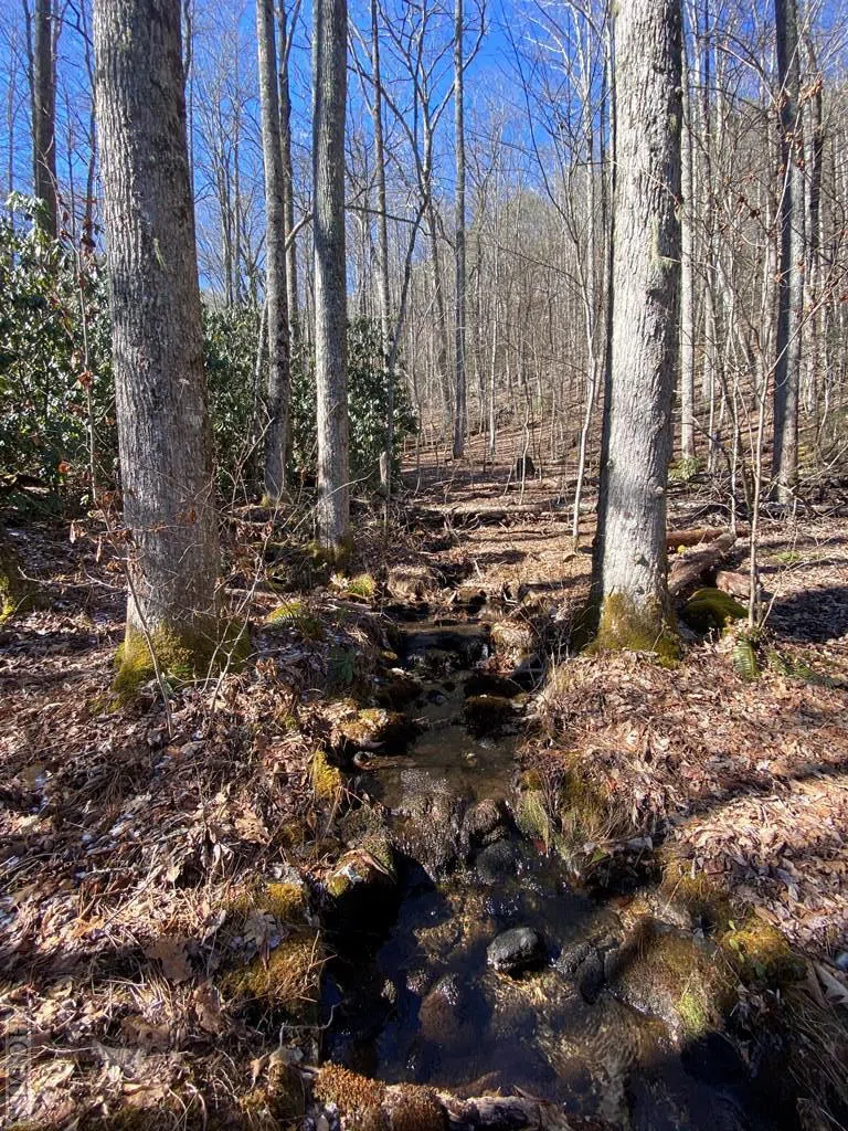 Lot 7 GlenCove Drive Cashiers, NC 28717