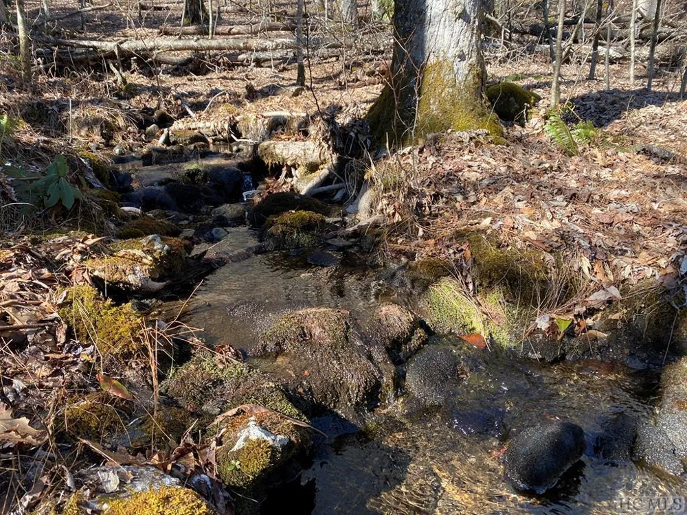 Lot 7 GlenCove Drive Cashiers, NC 28717
