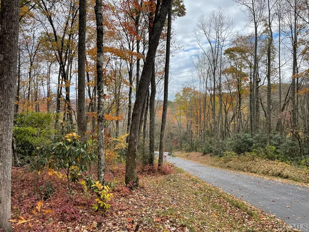 Lot 7 GlenCove Drive Cashiers, NC 28717