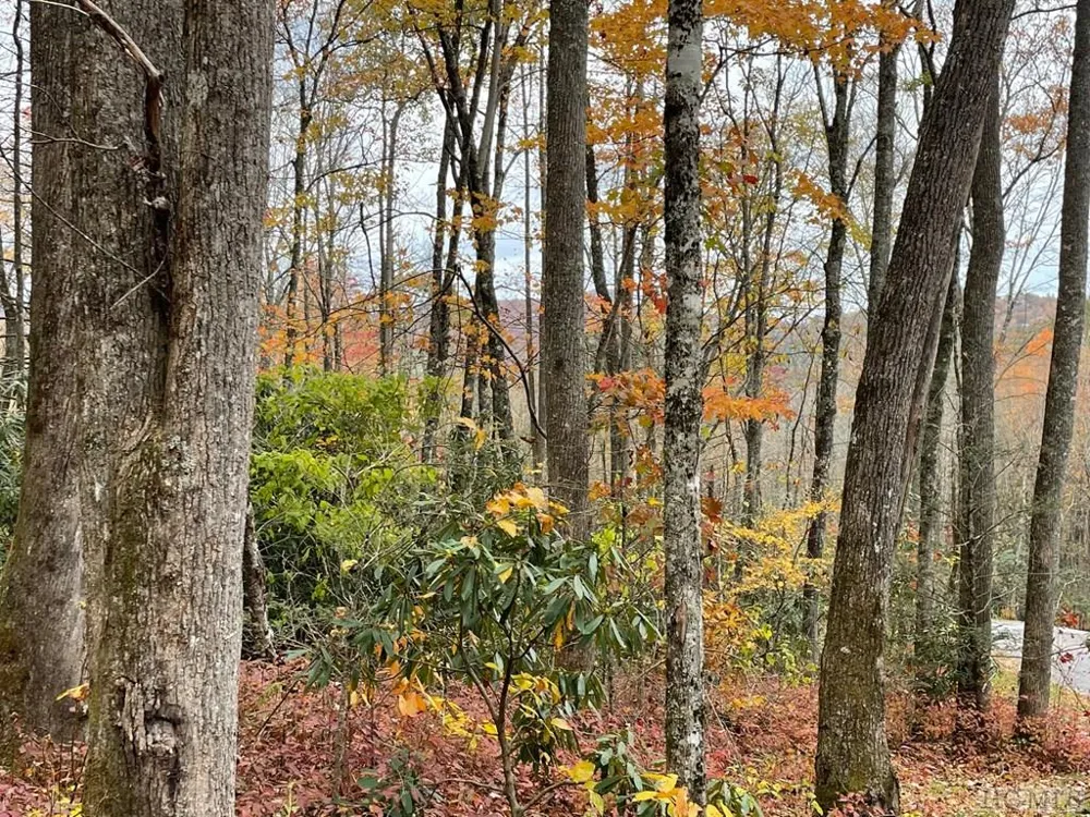 Lot 7 GlenCove Drive Cashiers, NC 28717