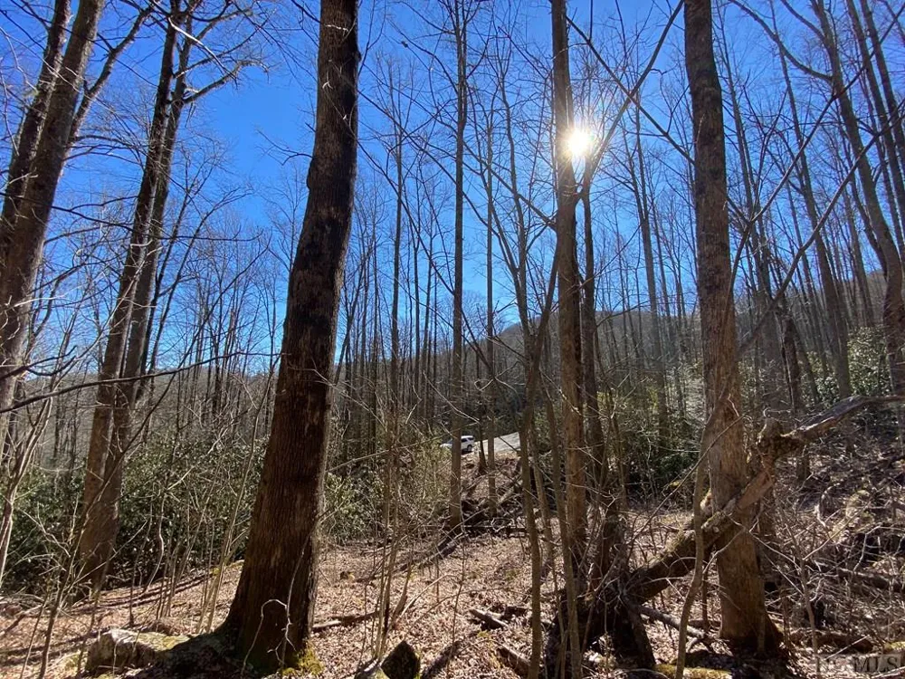 Lot 7 GlenCove Drive Cashiers, NC 28717