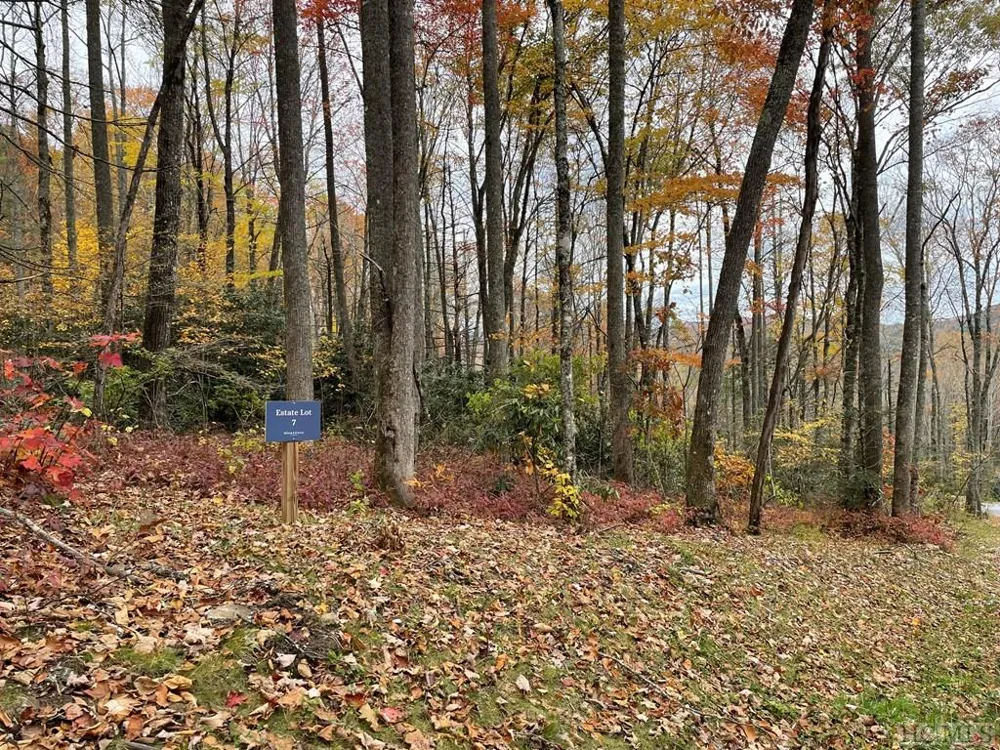 Lot 7 GlenCove Drive Cashiers, NC 28717