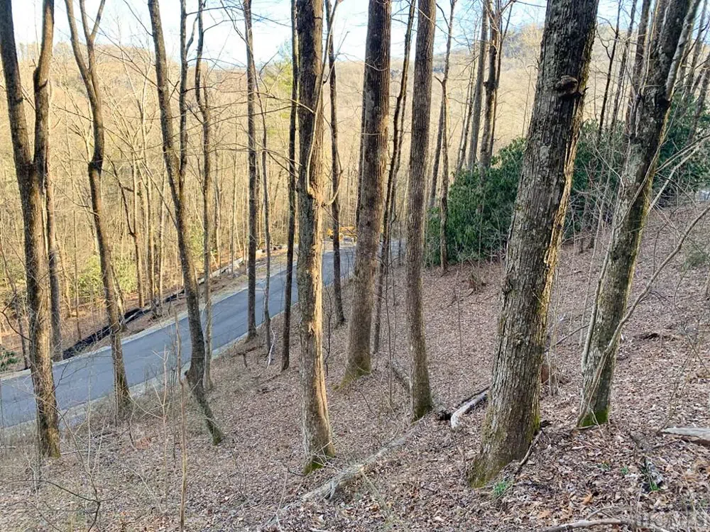 Lot 13 GlenCove Drive Cashiers, NC 28717