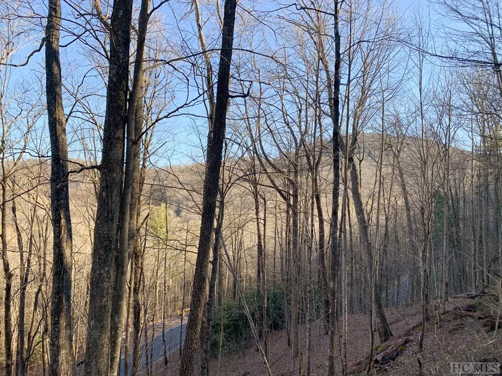 Lot 13 GlenCove Drive Cashiers, NC 28717