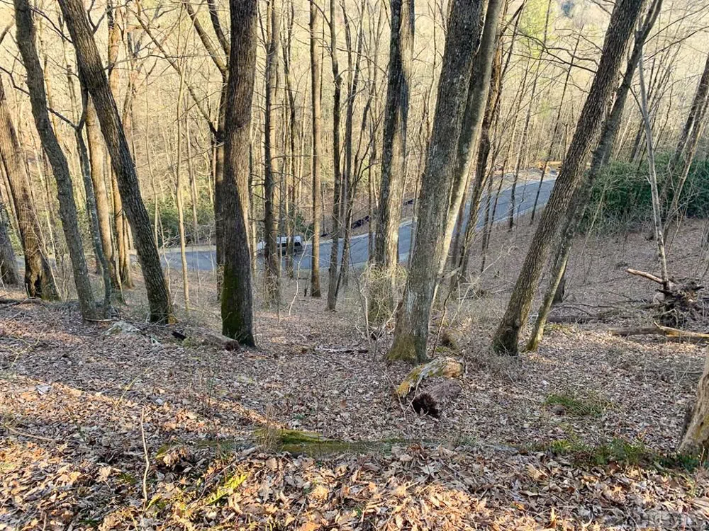 Lot 13 GlenCove Drive Cashiers, NC 28717