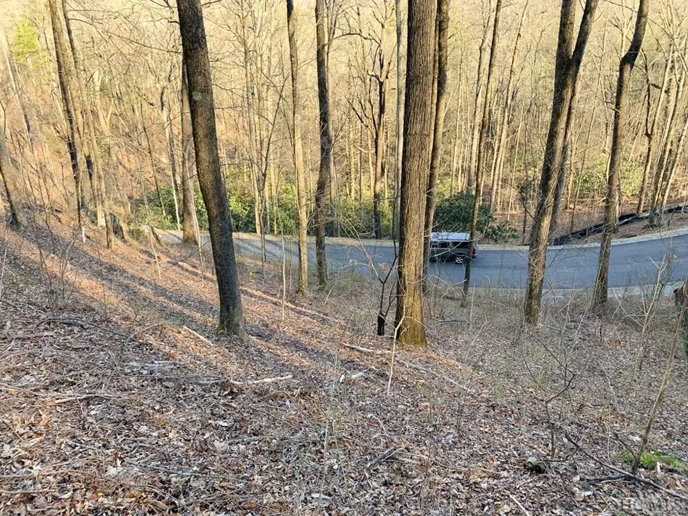 Lot 13 GlenCove Drive Cashiers, NC 28717