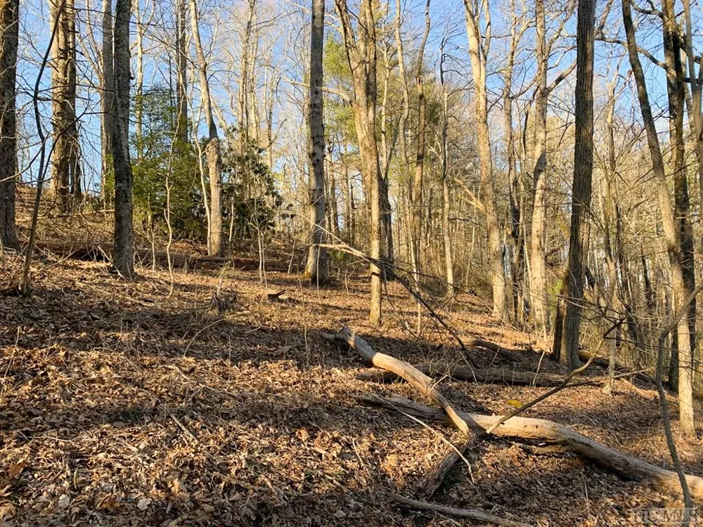 Lot 13 GlenCove Drive Cashiers, NC 28717