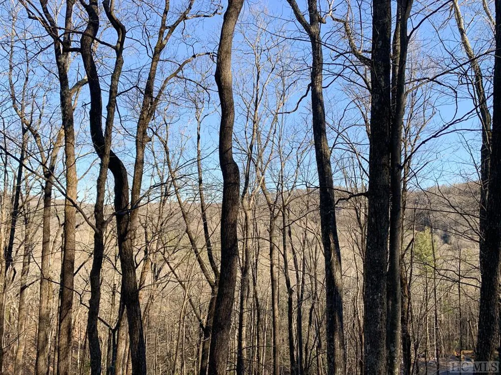 Lot 13 GlenCove Drive Cashiers, NC 28717