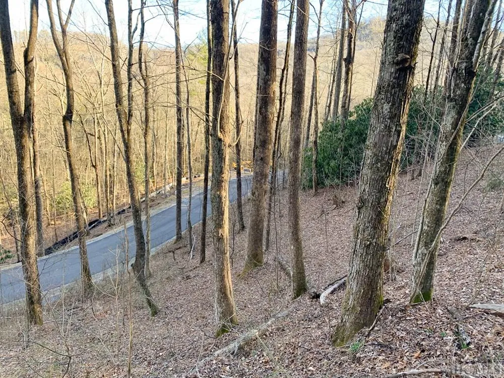 Lot 13 GlenCove Drive Cashiers, NC 28717