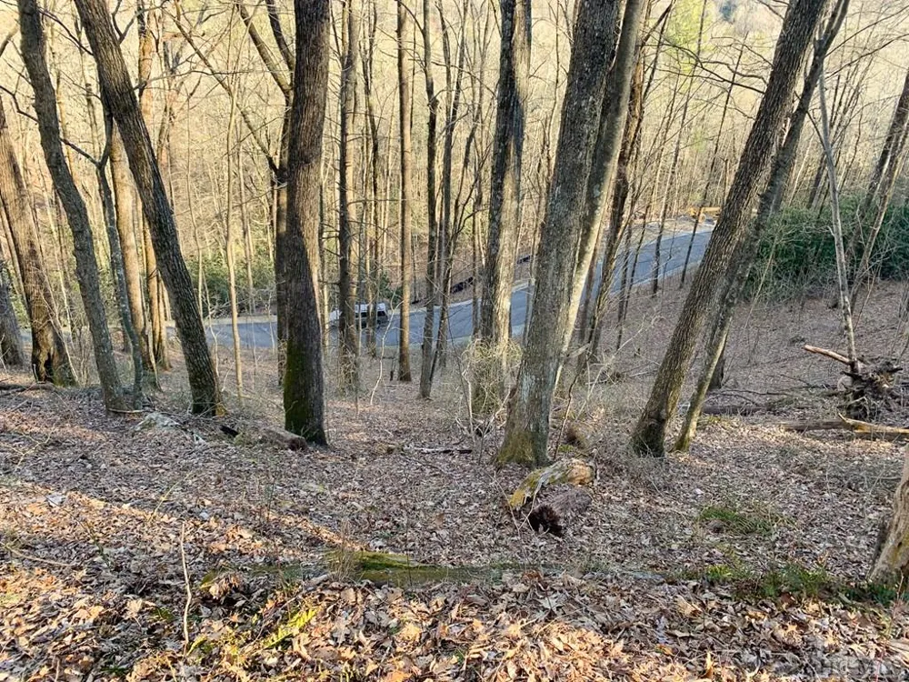 Lot 13 GlenCove Drive Cashiers, NC 28717