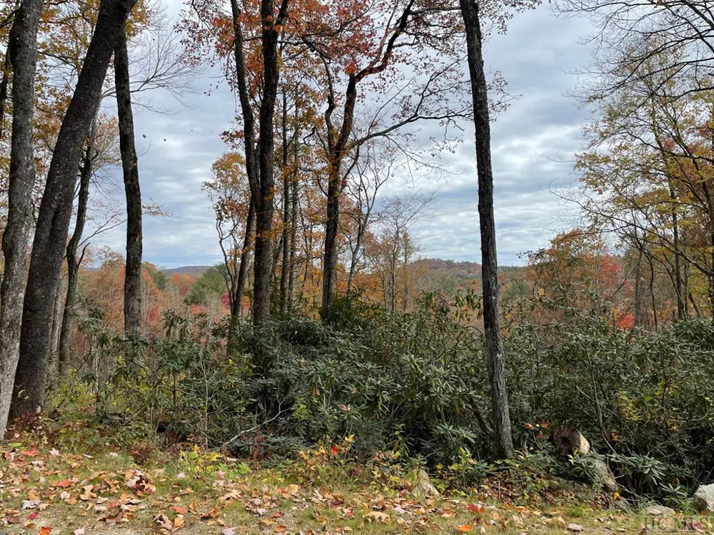 Lot 10 GlenCove Drive Cashiers, NC 28717