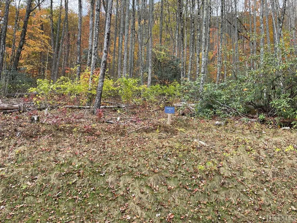Lot 10 GlenCove Drive Cashiers, NC 28717