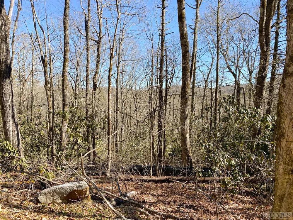 Lot 10 GlenCove Drive Cashiers, NC 28717