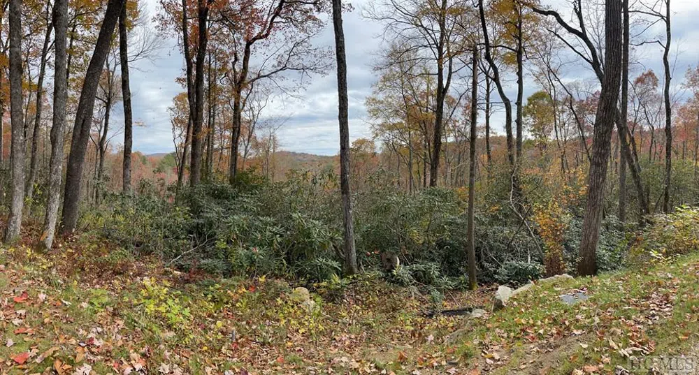 Lot 10 GlenCove Drive Cashiers, NC 28717
