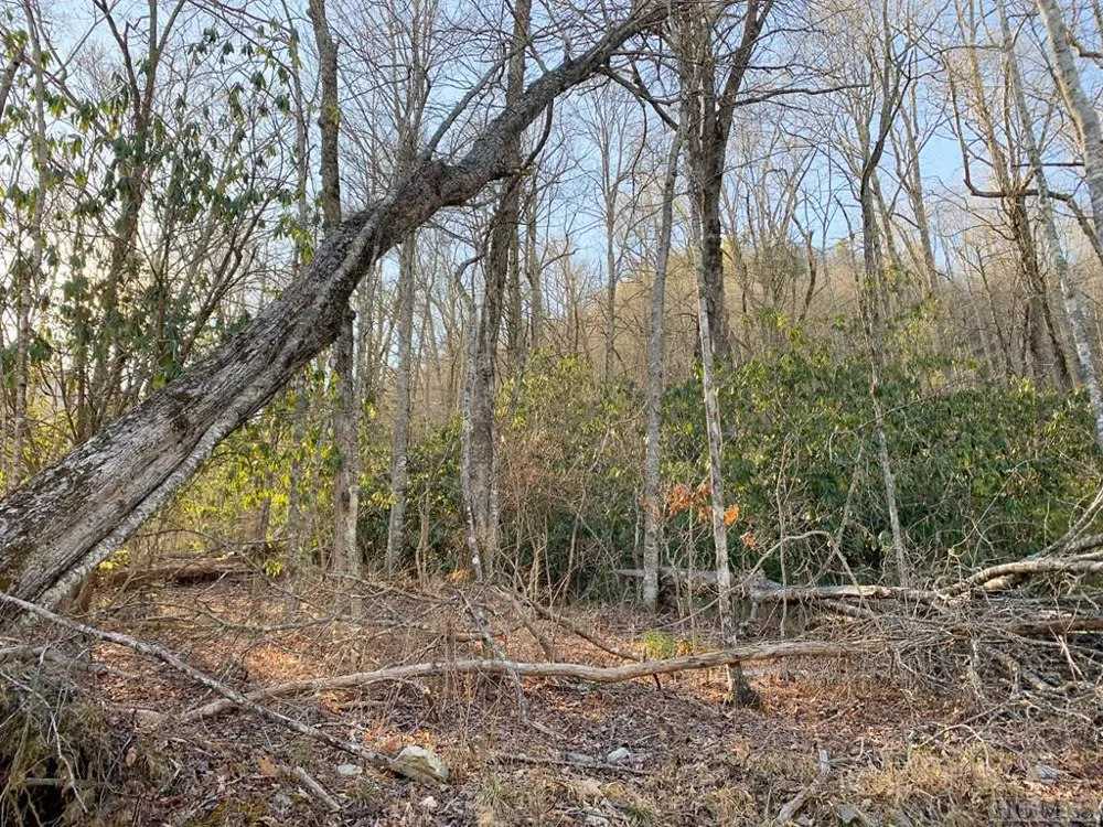 Lot 10 GlenCove Drive Cashiers, NC 28717