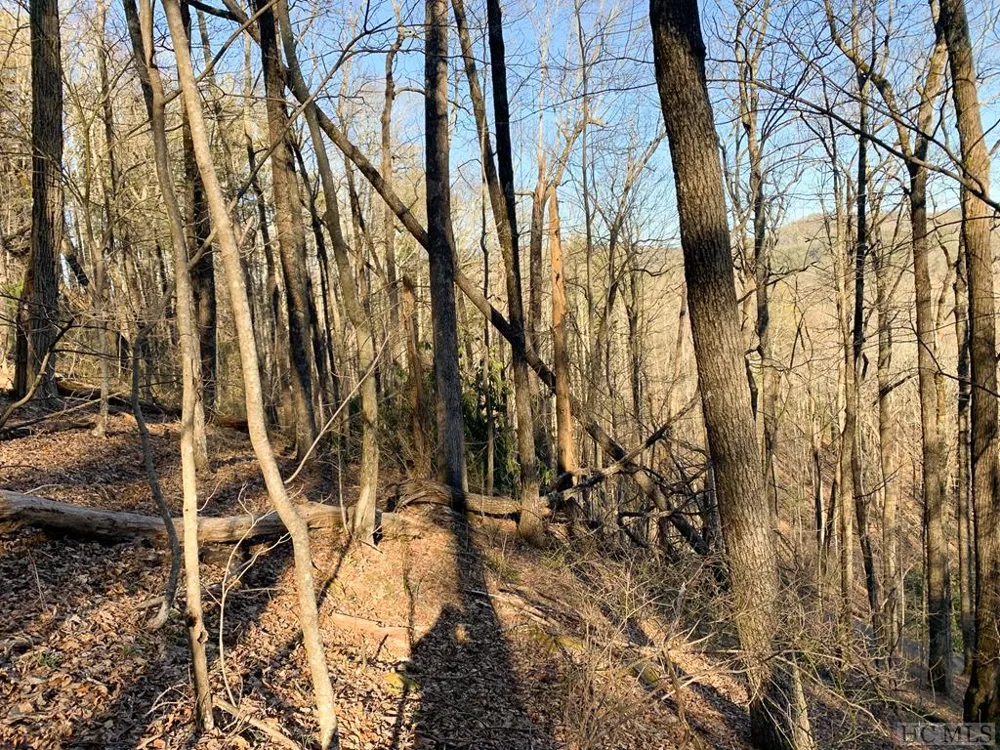 Lot 12 GlenCove Drive Cashiers, NC 28717