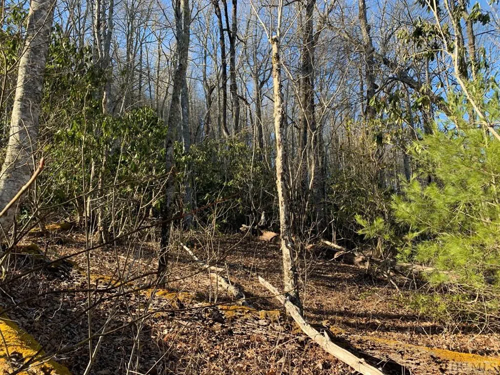 Lot 9 GlenCove Drive Cashiers, NC 28717