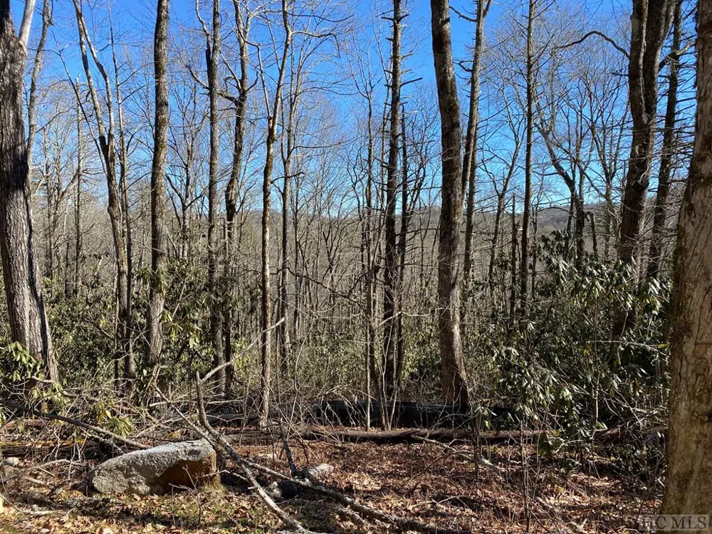 Lot 9 GlenCove Drive Cashiers, NC 28717