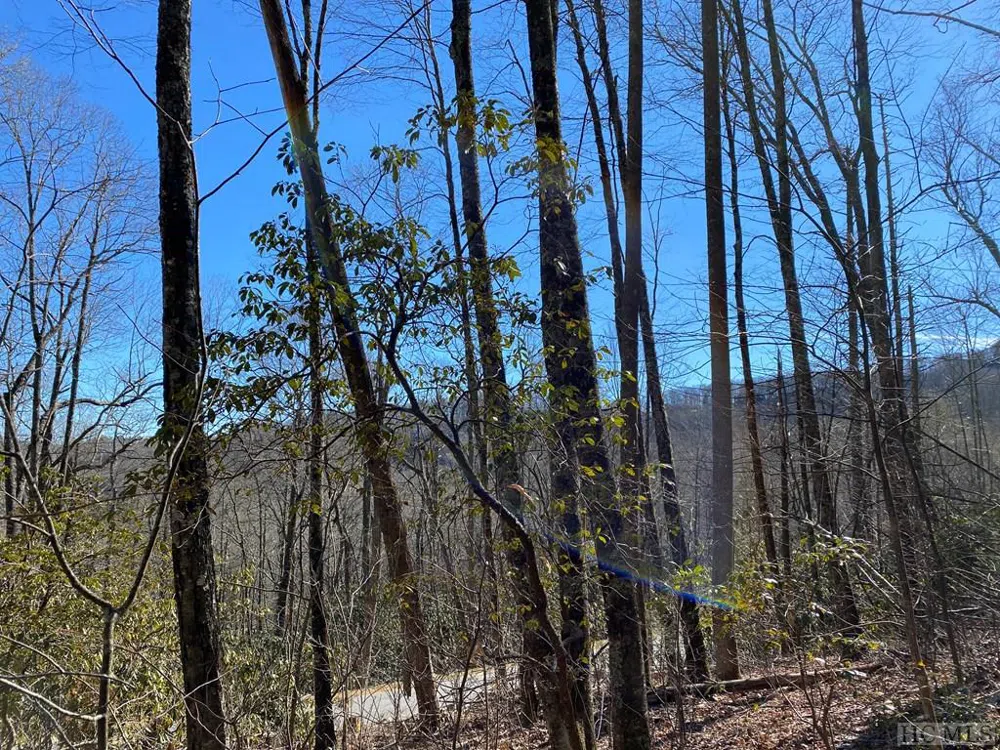 Lot 9 GlenCove Drive Cashiers, NC 28717