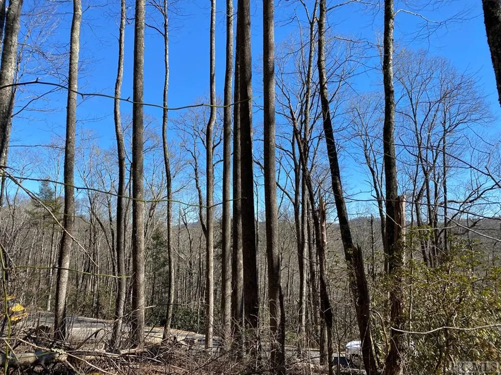 Lot 9 GlenCove Drive Cashiers, NC 28717