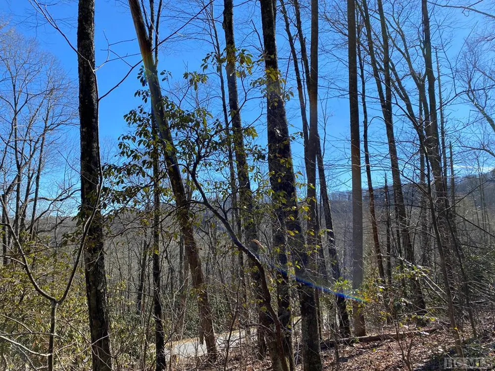 Lot 9 GlenCove Drive Cashiers, NC 28717
