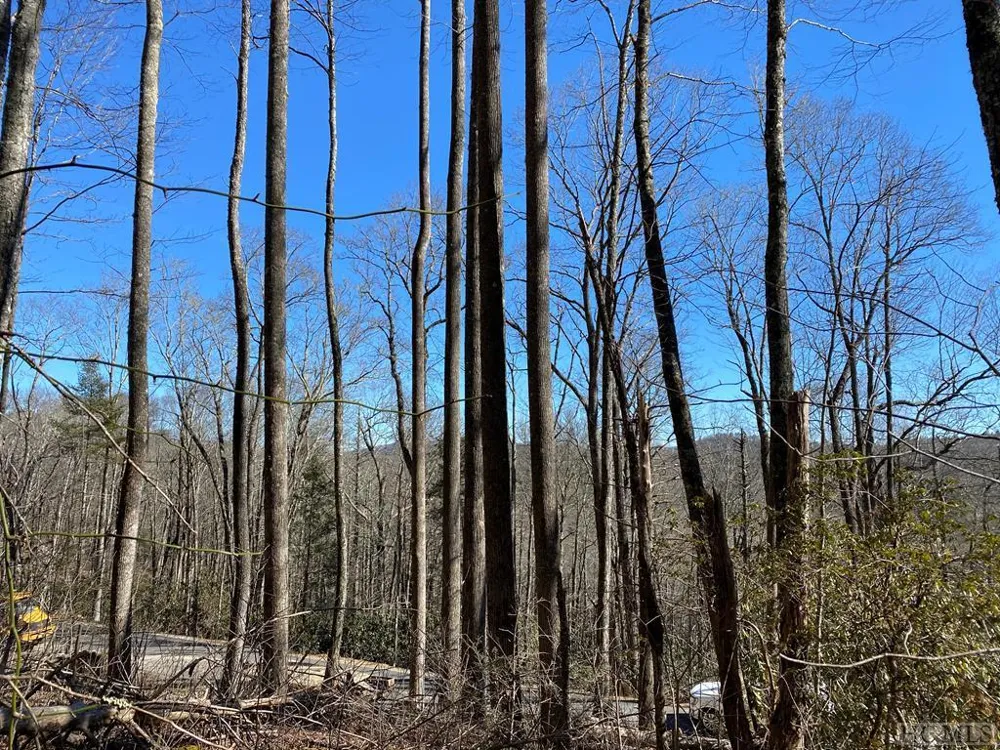 Lot 9 GlenCove Drive Cashiers, NC 28717