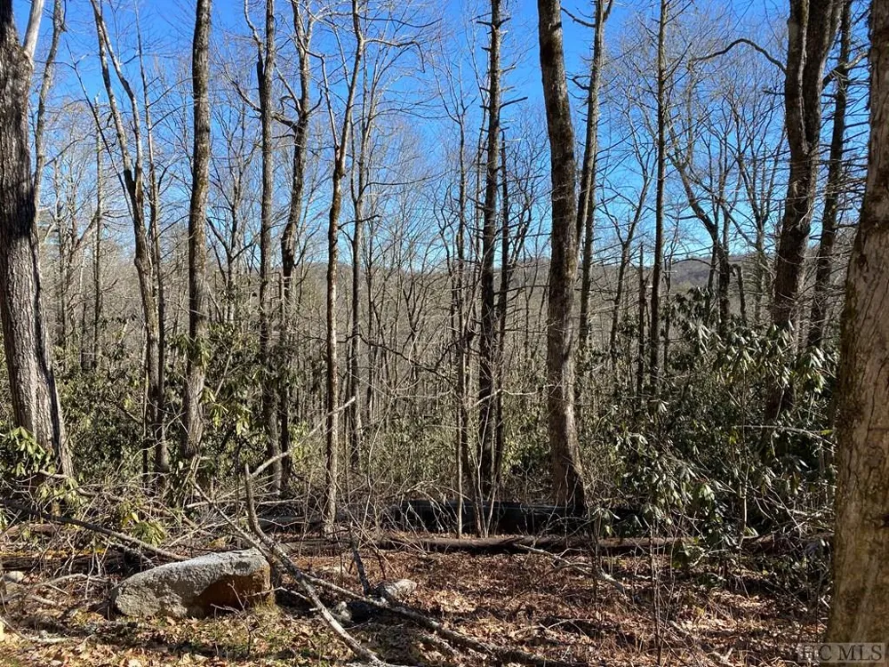 Lot 9 GlenCove Drive Cashiers, NC 28717