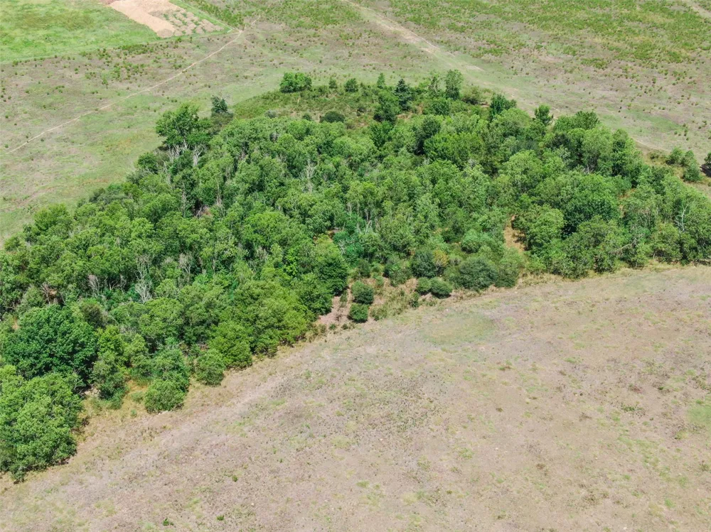 98 Fields Store Road Waller, TX 77484