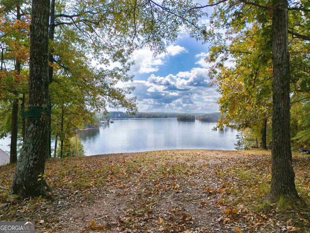 0 Monties PT Wedowee, AL 36278