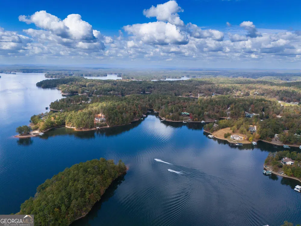 0 Monties PT Wedowee, AL 36278