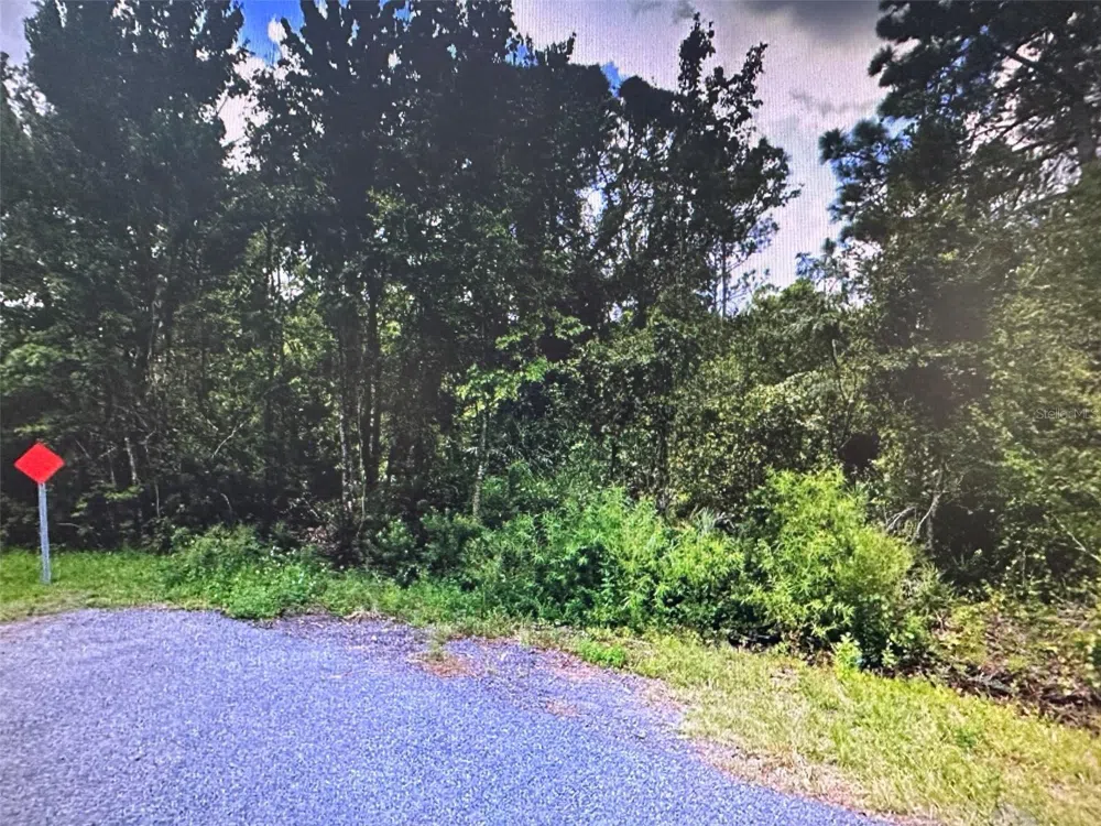 HINES DRIVE Okeechobee, FL 34972