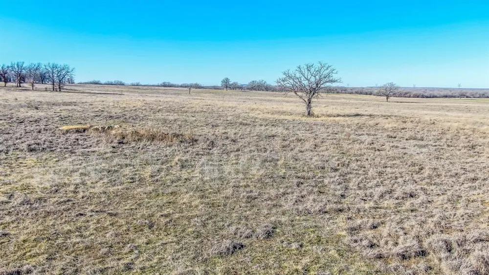 Ballpark Way Jacksboro, TX 76458