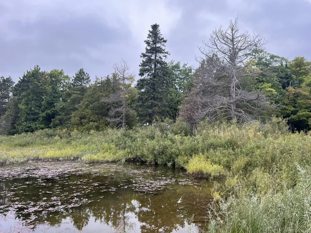 30410 Co Rd 407 Road Mcmillan Township, MI 49868