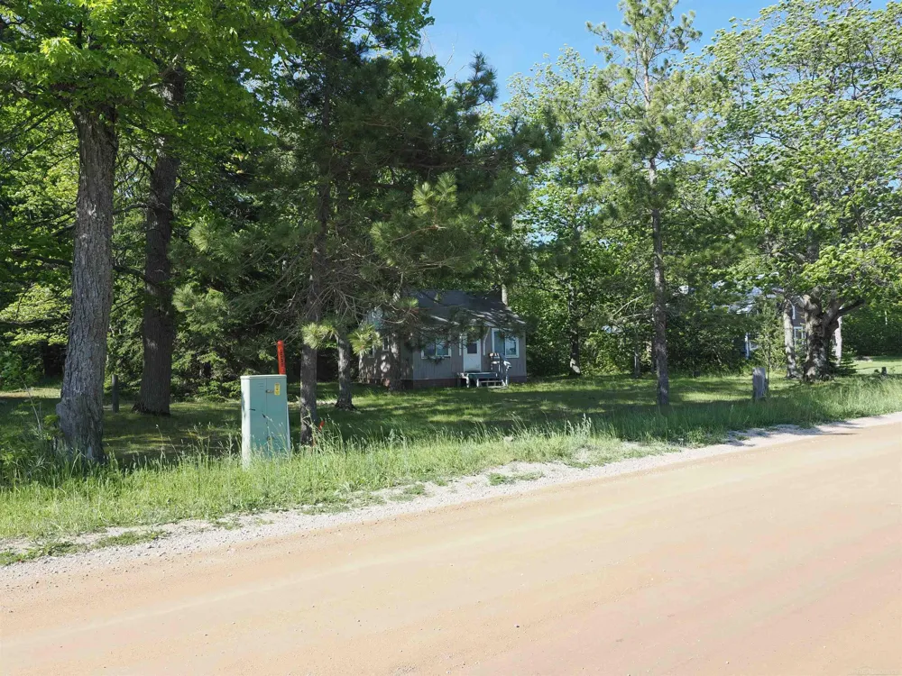 30410 Co Rd 407 Road Mcmillan Township, MI 49868