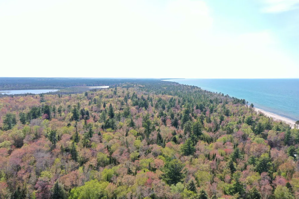 30410 Co Rd 407 Road Mcmillan Township, MI 49868