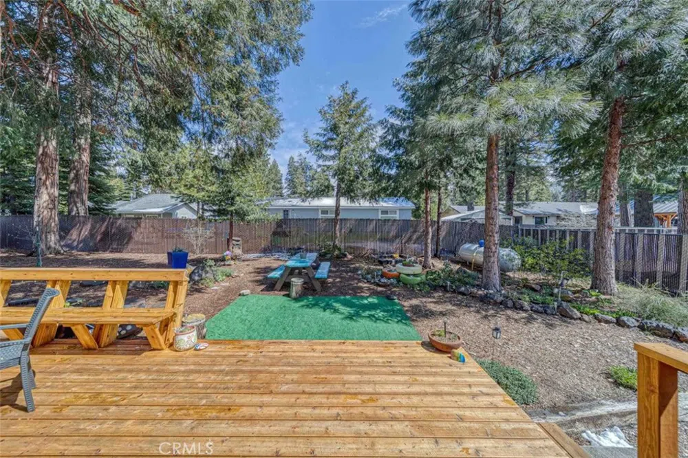 3611 Park Hill Drive Hamilton Branch, CA 96137