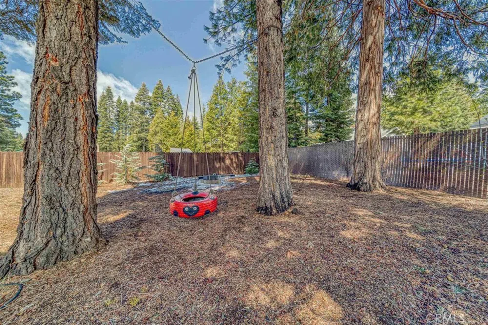 3611 Park Hill Drive Hamilton Branch, CA 96137
