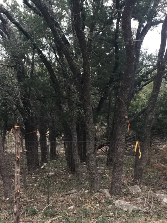 101 Timber Line Road Georgetown, TX 78633
