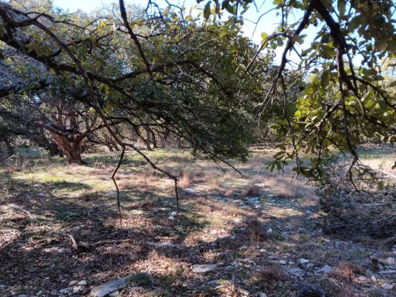 101 Timber Line Road Georgetown, TX 78633