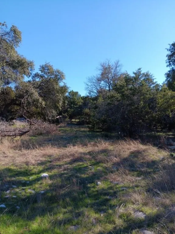 101 Timber Line Road Georgetown, TX 78633