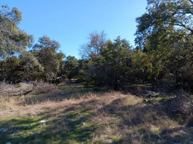 101 Timber Line Road Georgetown, TX 78633