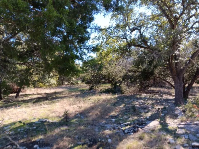 101 Timber Line Road Georgetown, TX 78633